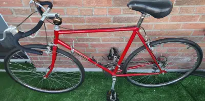 Japanese Suteki Road Bike Ready2Ride 57CM New Tires, View more