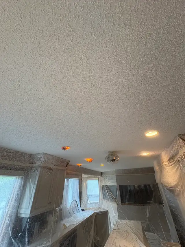 Professional Ceiling Texturing | Popcorn & Knockdown | Repairs572417991603005441