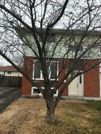 5 Bedrm Home For Short Term  (now until Sept) Centrally located