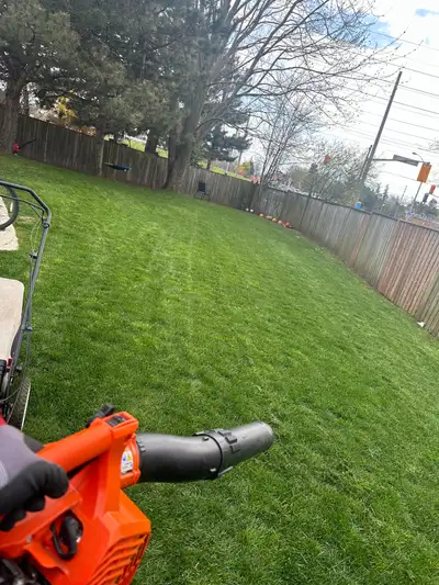 grass cutting/ spring cleanup, View more