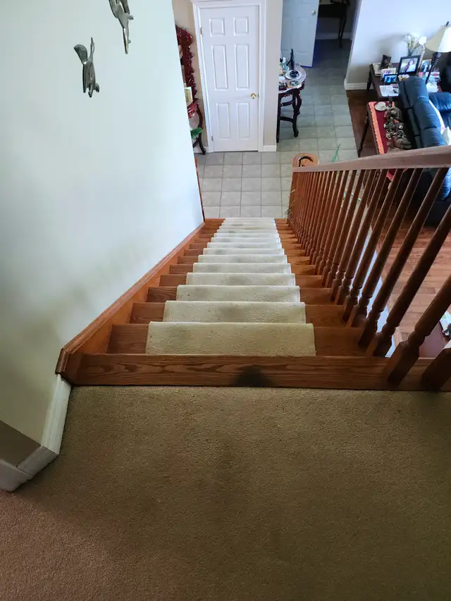 Flooring installer