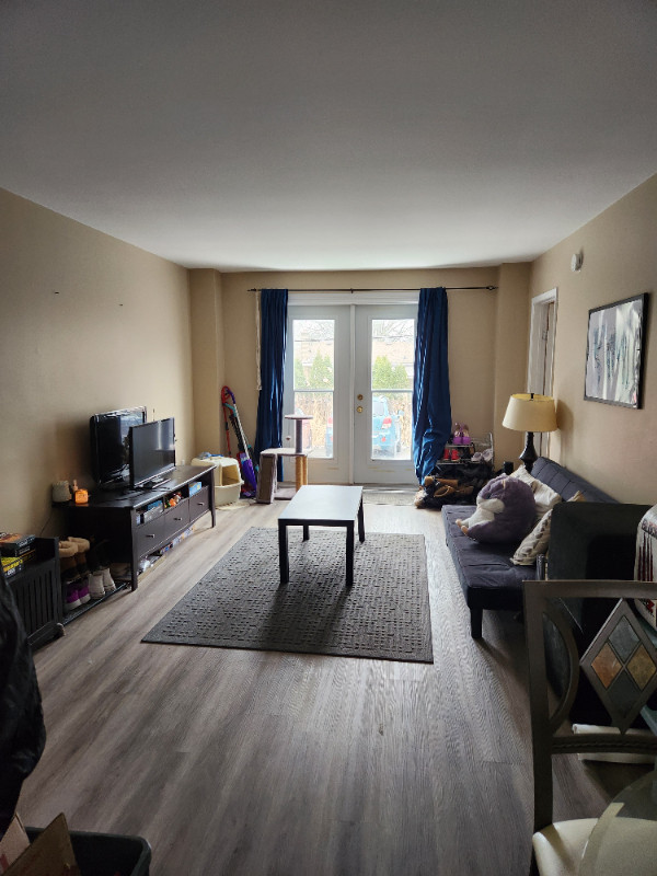 Brock Off-Campus: Three Bedroom Apartment for Rent in Long Term Rentals in St. Catharines - Image 3