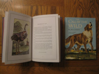 Two Children's Books:  Fables and The Call of the Wild