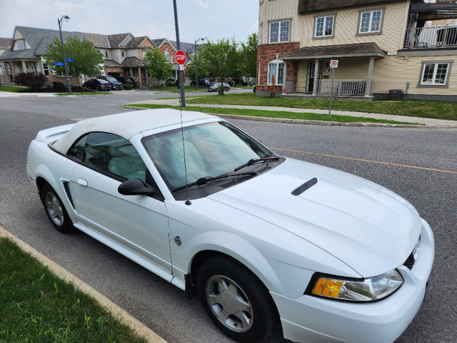 1999 Mustang convertible, V6 in Cars & Trucks in Ottawa - Image 4