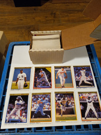 Baseball Cards OPC Premier 1991 MINT Complete 1- 132 Griffey Jr