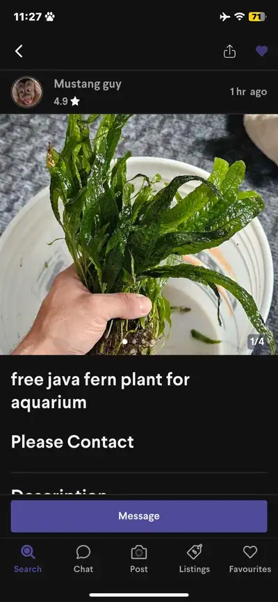 Any unwanted fish stuff