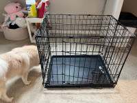 Dog Crate 24” + Pink Dog Bed 