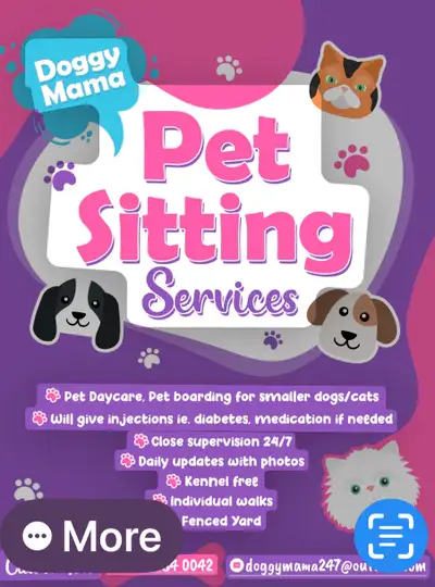 Providing loving care for smaller sized dogs in my home Kingston area