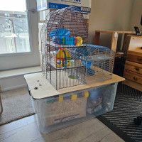 Huge gerbil / hamster set-up 
