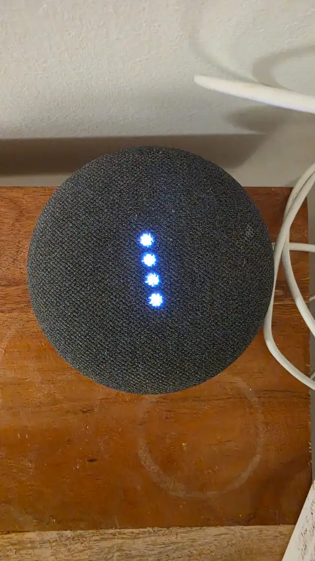 Google Nest Mini501752720880445440