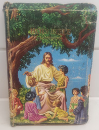 KJV Children's Rainbow Bible (Children's 603n)