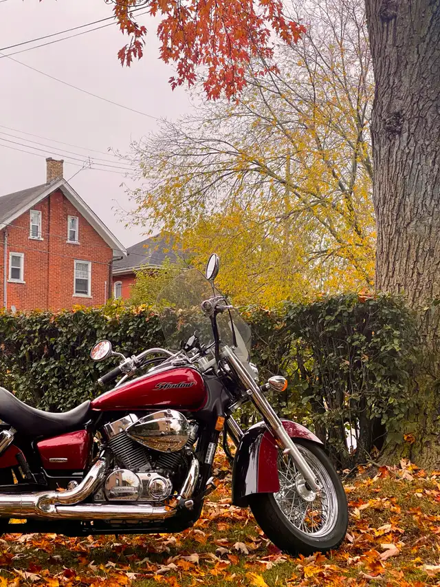 2005 Honda Shadow Aero in Street, Cruisers & Choppers in Mississauga / Peel Region - Image 4