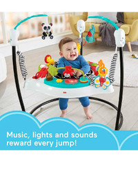 Fisher-Price Jumperoo Baby Bouncer