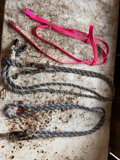 Pink bridle, missing a buckle- $5 Blue/white Reins, used- $5 Multi colour reins, used a few times- $...