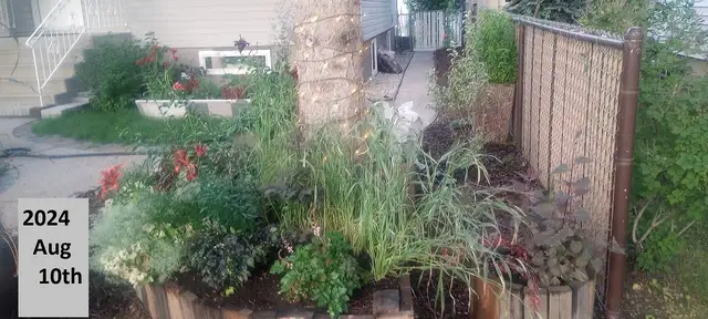 Top quality yardwork at a great value, based central NE533919362576568321