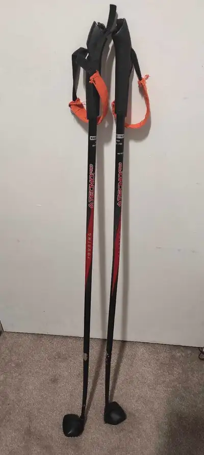 Kids XC ski poles 43''(110cm), View more