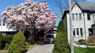 Yonge/Eglinton-room rental - $850 month - Free Bell WiFi & TV & Laundry- New Central Air Conditionin...