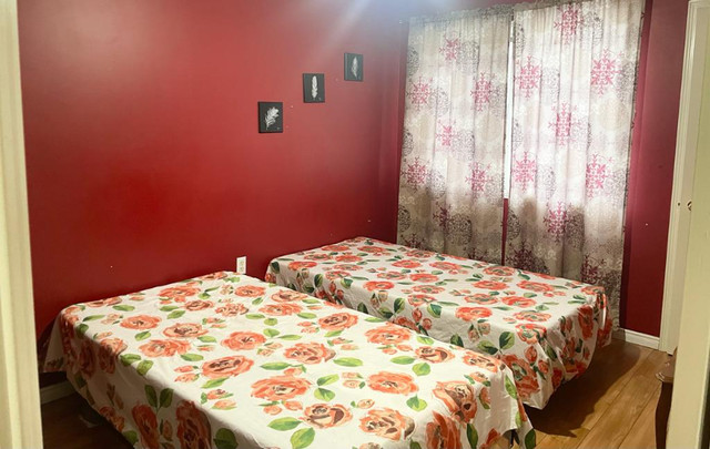 Private Room for Rent for Girl Students in Room Rentals & Roommates in Mississauga / Peel Region - Image 2