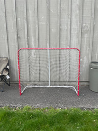 Road Hockey Net