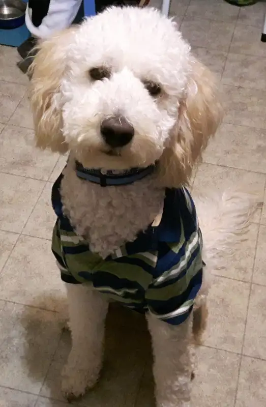 Room For Rent In House Between Bridgewater And Liverpool in Room Rentals & Roommates in Bridgewater - Image 6