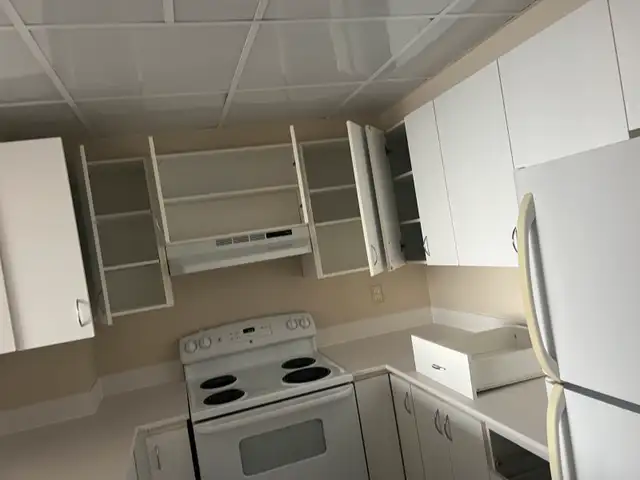 Charming Room Available in Cozy 1-Bedroom  in Room Rentals & Roommates in Ottawa - Image 7