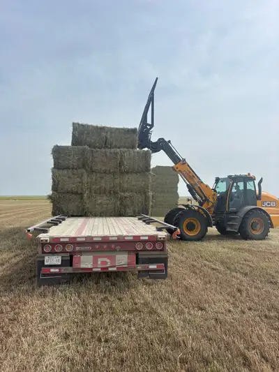 driver wanted, View more