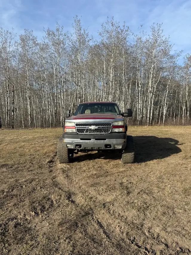 2005 lly 452025834999664642