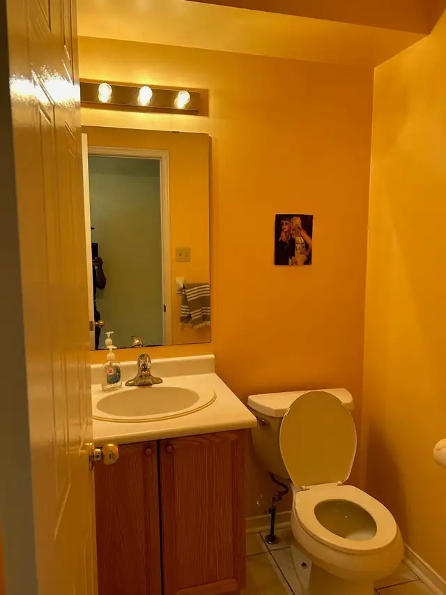 Summer Sublet – Private Spacious Basement Room in Room Rentals & Roommates in Guelph - Image 5