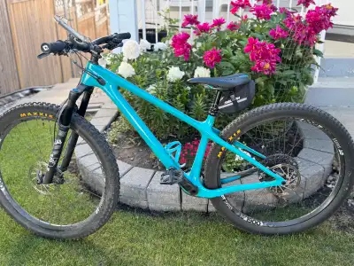 Yeti Arc Mountain Bike, View more