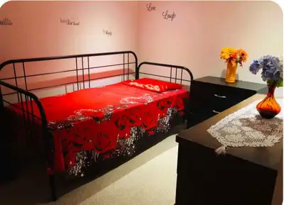 Looking for clean quiet responsible female working individual. Shared laundry, kitchen, and washroom...