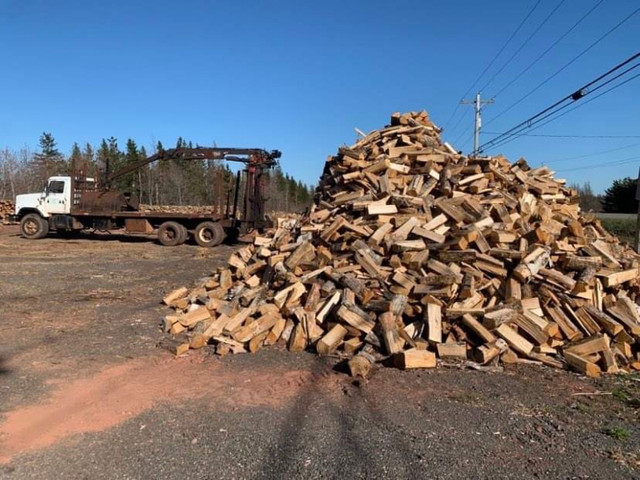 Firewood for sale: 8ft lengths, blocked, or blocked and split in Other in Summerside - Image 2