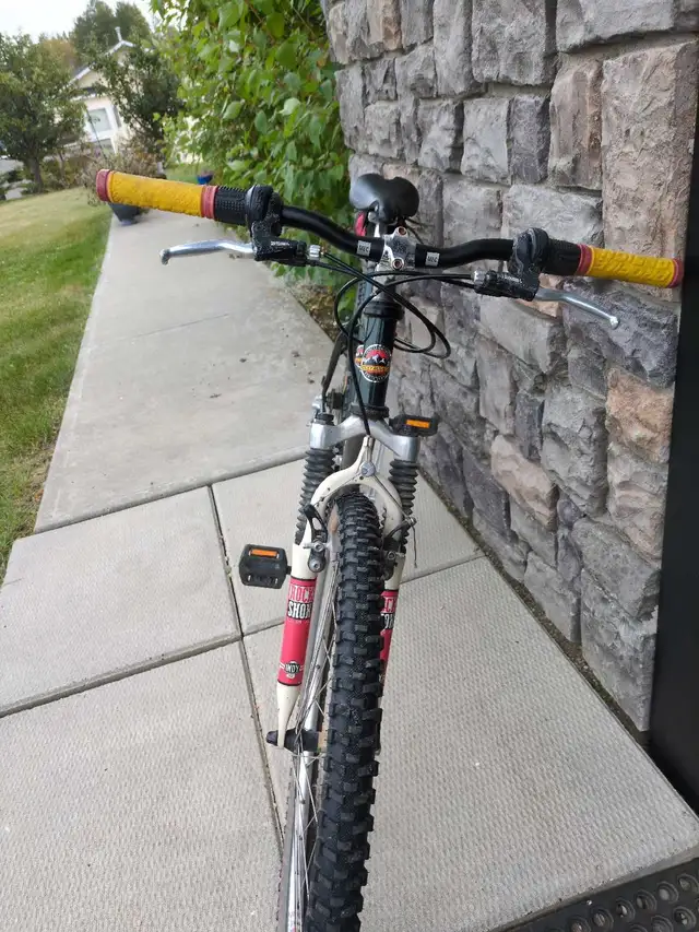 Rocky Mountain Equipe in Mountain in St. Albert - Image 4