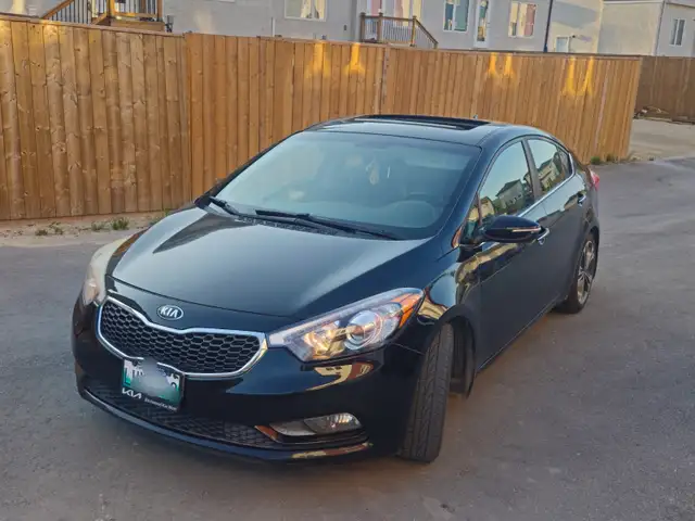 Validy Safety..2015 forte480461338413649921
