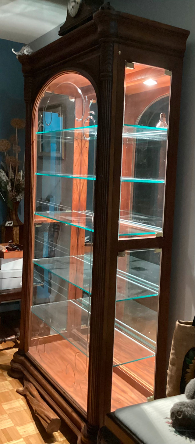 Beautiful lighted cabinet in Hutches & Display Cabinets in Peterborough - Image 3