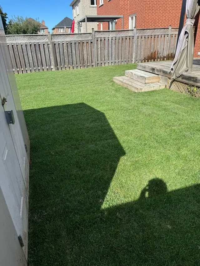 Sod Installation – Reliable & Affordable (GTA)63749436286977122