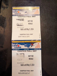 Lake Louise lift tickets x2