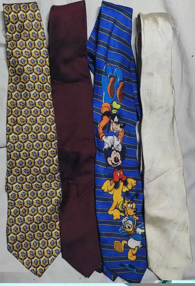 Assorted ties. I deliver! in Men's in St. Albert - Image 4