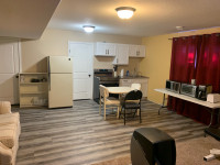 Basement Suite/Room for Rent