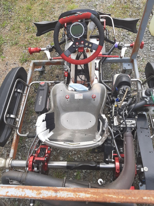 2019 Wildkart chassis full size with rotax engine Motorcycle Parts