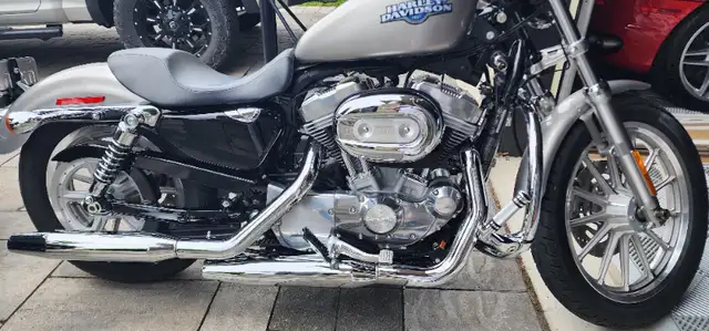 2008 Harley-Davidson 883 sportster XXL in Street, Cruisers & Choppers in Markham / York Region - Image 2
