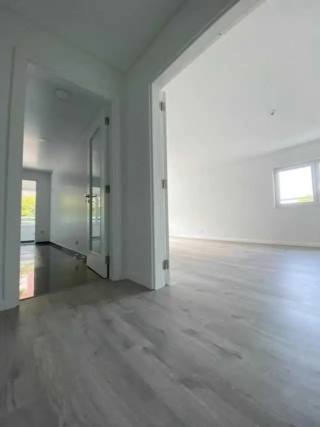 Experienced Professional Painters569242524950220809