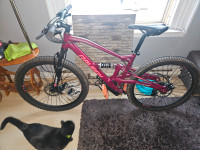Completely brand new Raleigh mountain bike. Great for beginners
