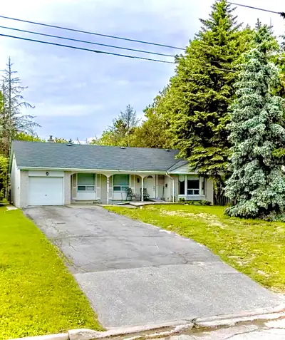 Spacious Room for Rent in Shared Basement Apartment