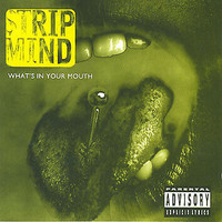 STRIP MIND CD - RARE 90s METAL Sully from GODSMACK