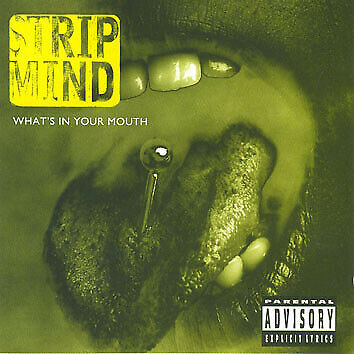 STRIP MIND CD - RARE 90s METAL Sully from GODSMACK in CDs, DVDs & Blu-ray in Kitchener / Waterloo