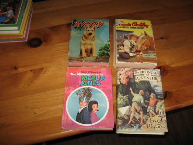 RIN TIN TIN, ANNETTE, HEIDI, JUDY BOLTON, etc. - vintage book in Arts & Collectibles in Bedford - Image 2