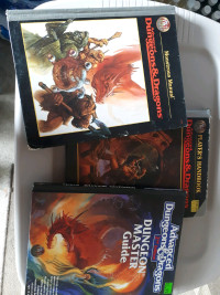 Dungeons & Dragons books 2nd & 3rd Ed.