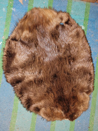 a  Beaver 26 inches by 19 inches, $55,