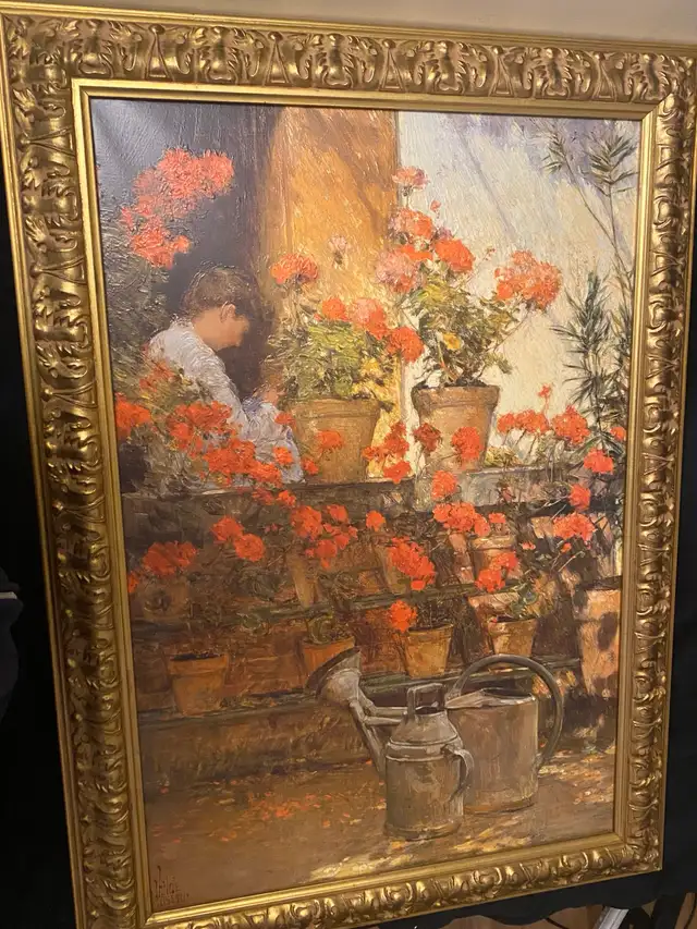 Geraniums65592248928259120