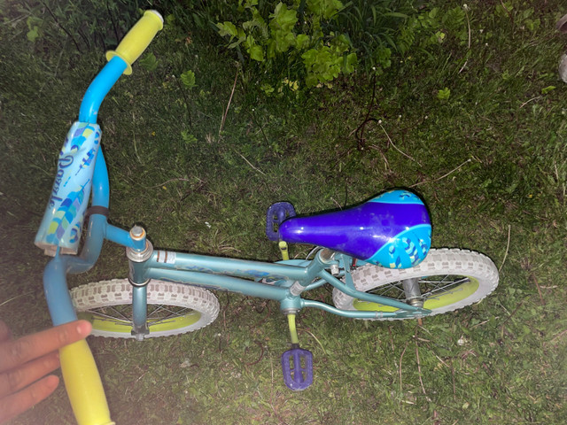 Bike-bicycle  in Kids in Ottawa - Image 3